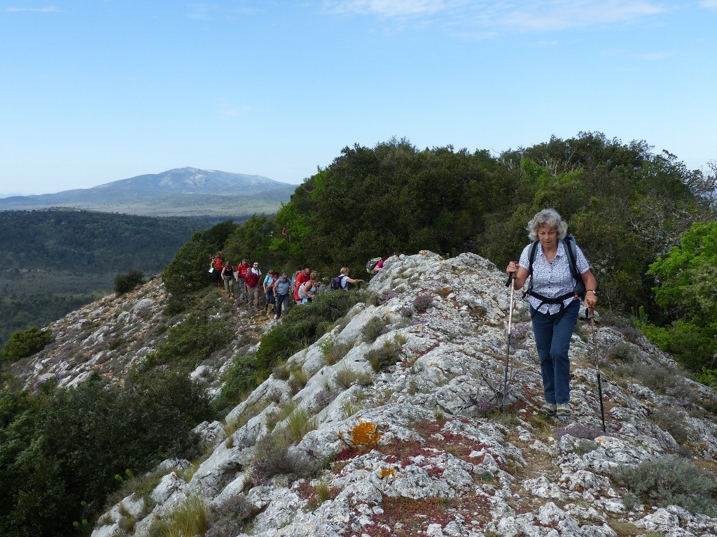 Rians-Montagne d'Artigues-Jeudi 23 avril 2015 9nYXxY