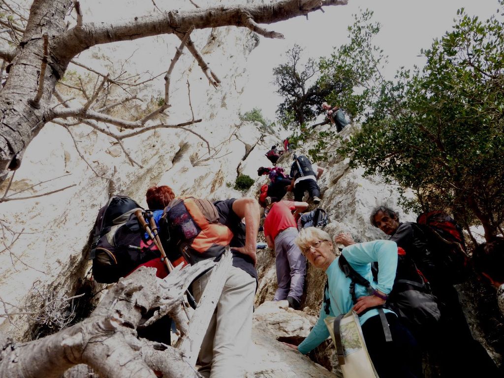 Calanques-Mont Puget par le Val Vierge-Jeudi 12 février 2015 ZclG1E