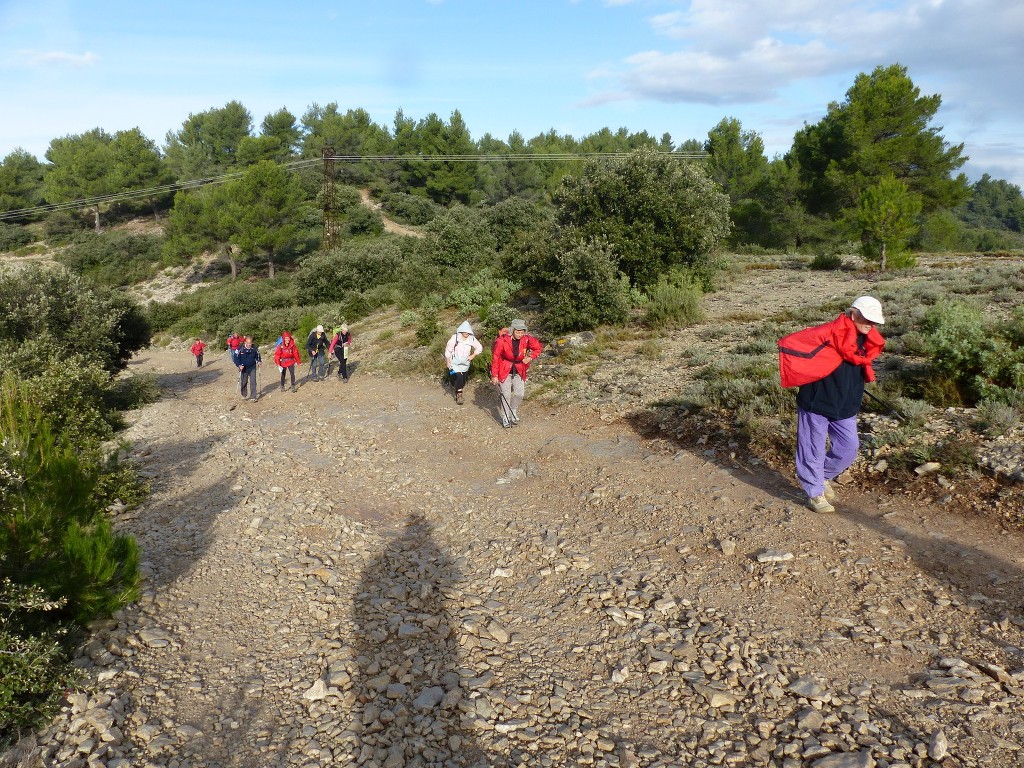 Meyrargues-Terme de Judas-Jeudi 27 novembre 2014 CRrSqh