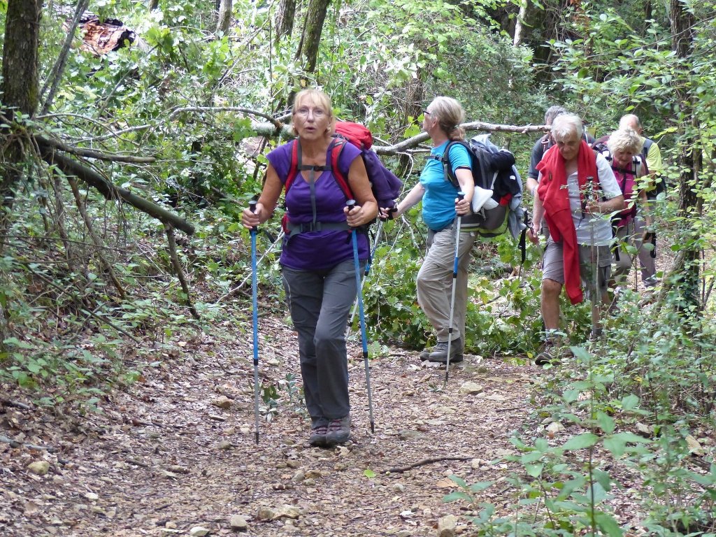 Belgentier-Aiguilles de Valbelle-Jeudi 9 octobre 2014 LW611G