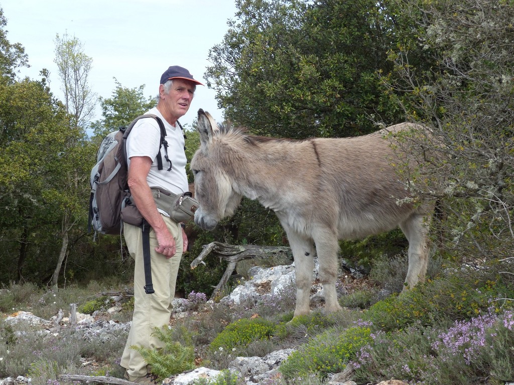 Rians-Montagne d'Artigues-Jeudi 23 avril 2015 TWeAaM