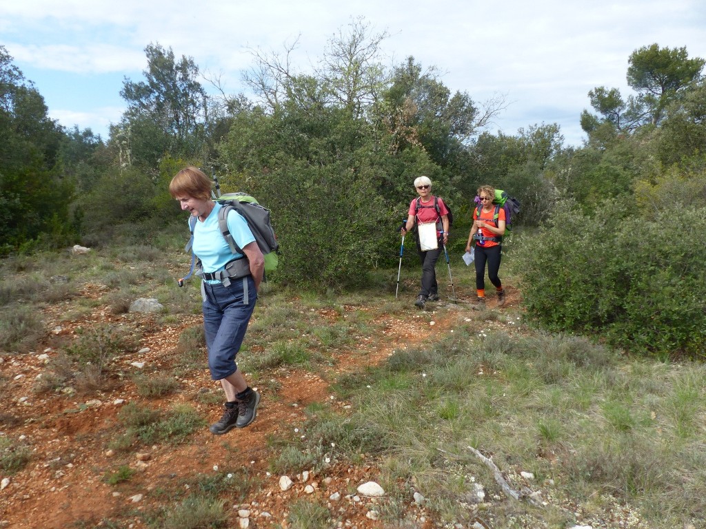 Rians-Montagne d'Artigues-Jeudi 23 avril 2015 U34N2I