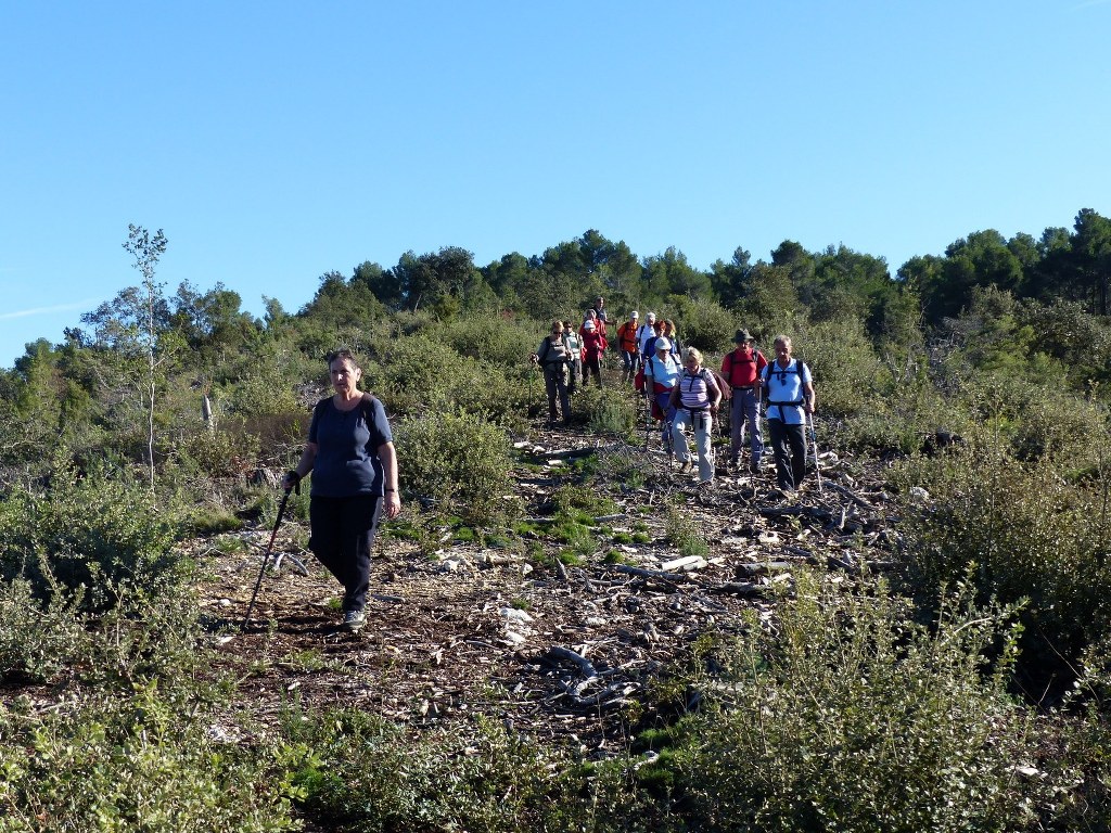 Trempasse-Concors-Jeudi 13 novembre 2014 XRtQuG