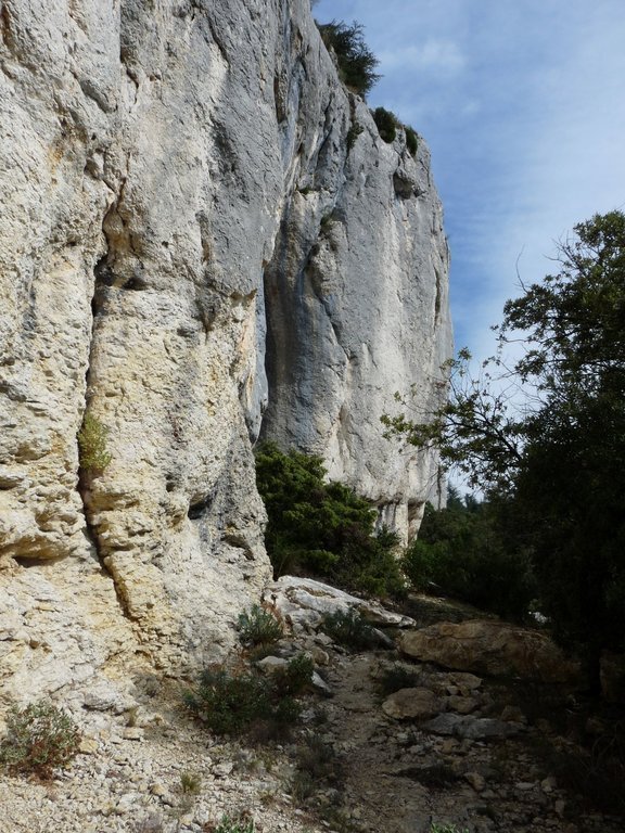 Vallon de l'Arc-Forêt des Cèdres-Arche du Portalas-Jeudi 10 octobre 2013 14Lfqo