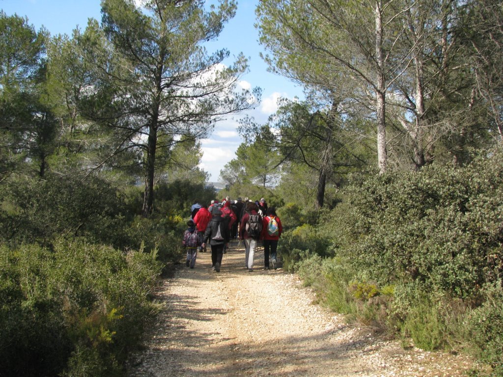 Calas-Jeudi 28 février 2013 H7me0l