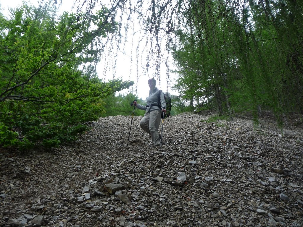 Archail-Sommet du Couard-Jeudi 20 juin 2013 JjjUUz