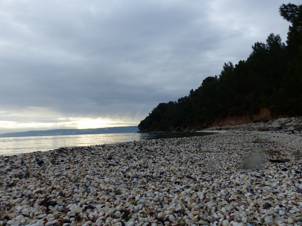 Martigues-Figuerolles-Jeudi 22 janvier 2015 LAZKTS