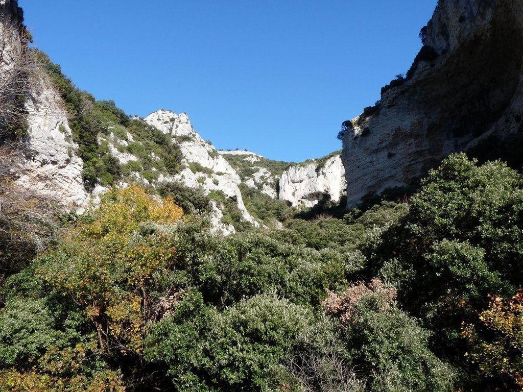 Vallon de l'Arc-Forêt des Cèdres-Arche du Portalas-Jeudi 10 octobre 2013 MioOui