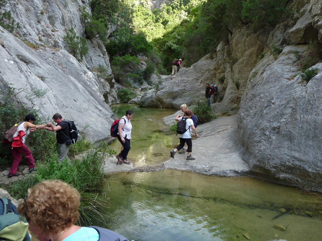 Ollioules-Gorges du Destel-Jeudi 10 juin 2010 NZxgXz