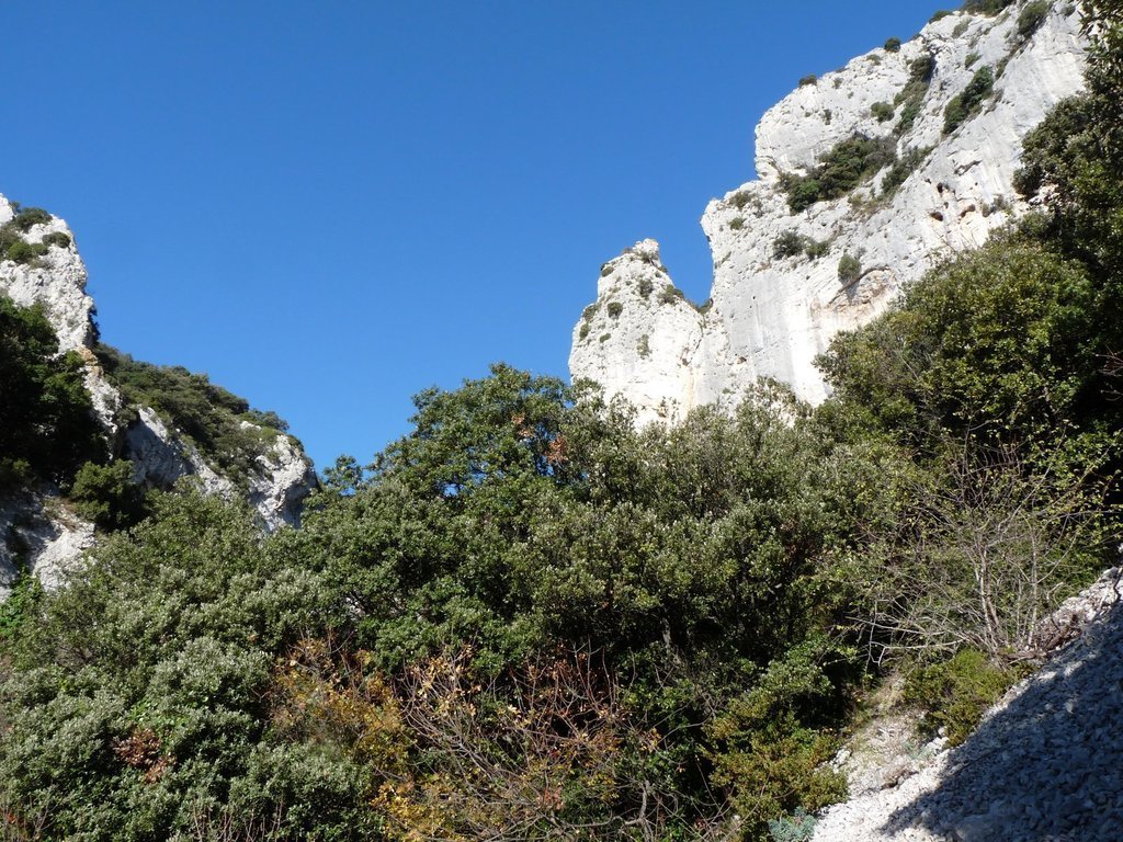 Vallon de l'Arc-Forêt des Cèdres-Arche du Portalas-Jeudi 10 octobre 2013 Nm6GTG