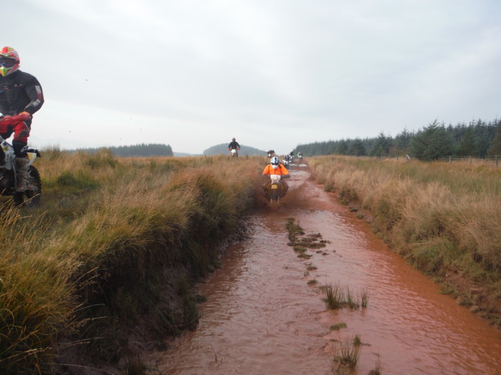 A day of wee puddles ORQMEJ