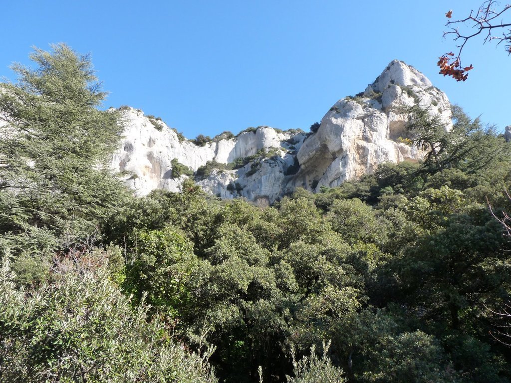 Vallon de l'Arc-Forêt des Cèdres-Arche du Portalas-Jeudi 10 octobre 2013 QscoWV