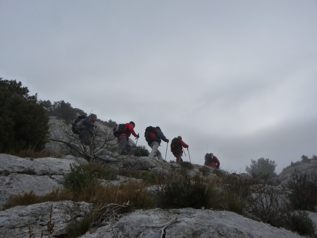 Meyrargues-Le Terme de Judas-Jeudi 9 janvier 2014 TdPBXG