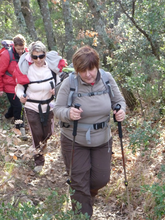 Meyrargues-Le Terme de Judas-Jeudi 9 janvier 2014 XaxRF0