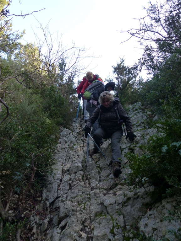 St Rémy-Plateau de la Caume-Mt Gaussier-Jeudi 21 janvier 2016 DjlMt7