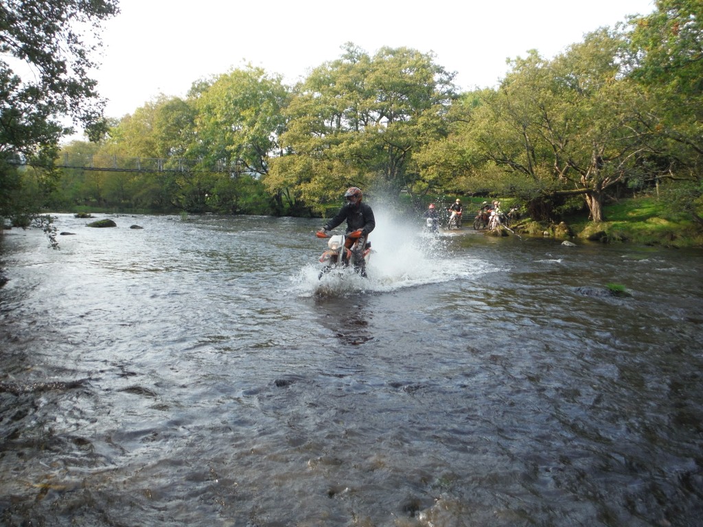 A day of wee puddles Dqby7V