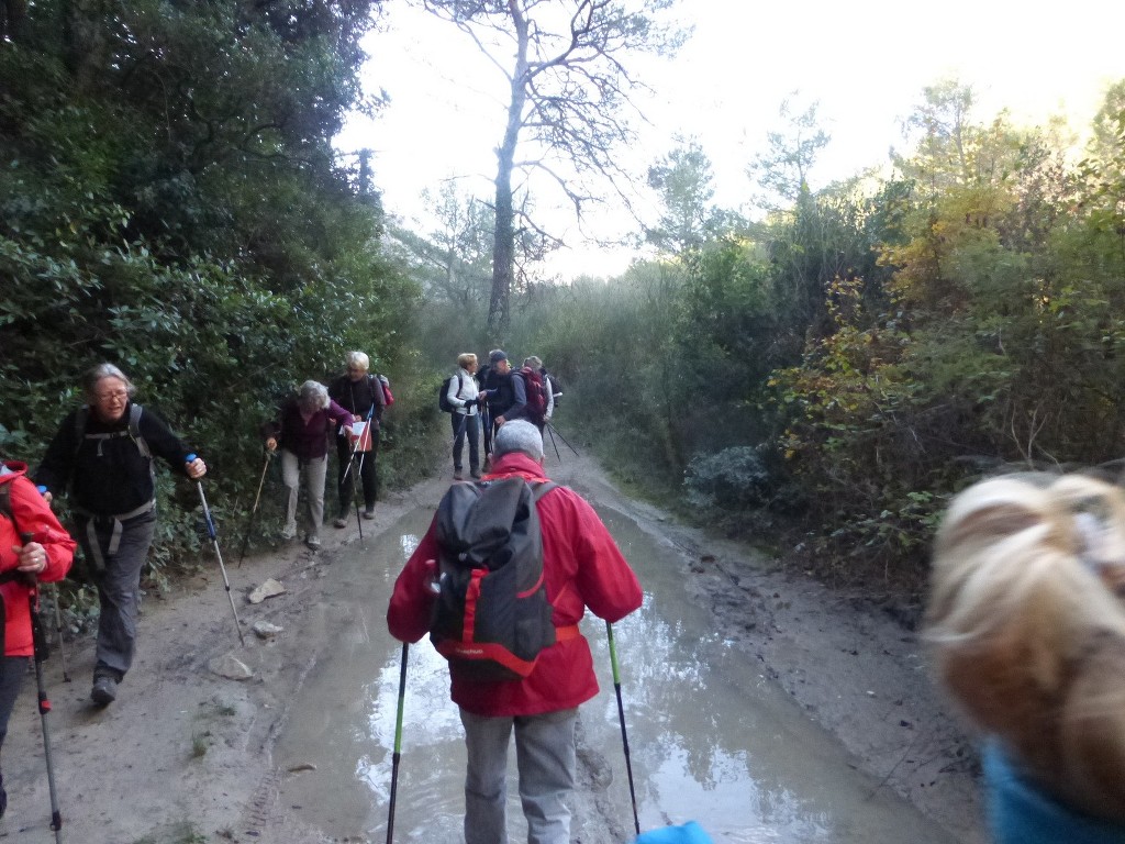 Cuges-Circuit des Jas-Jeudi 19 novembre 2015 GJkvJu