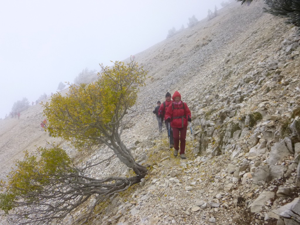 Ventoux-Balcon Nord-Jeudi 15 octobre 2015 JU3NCA