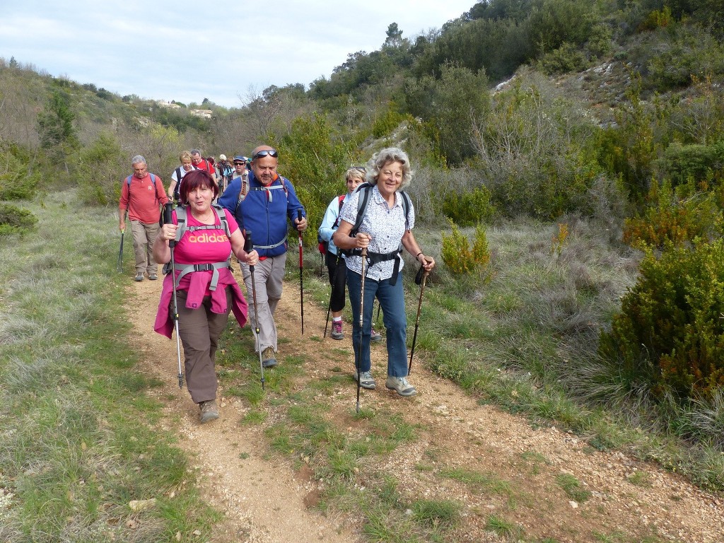 Rians-Montagne d'Artigues-Jeudi 23 avril 2015 PzjPG6