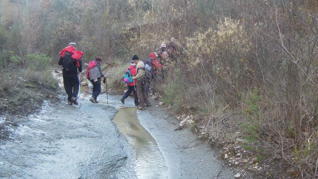 Lubéron-Mourre Nègre- Jeudi 29 novembre 2012 QV0fQx