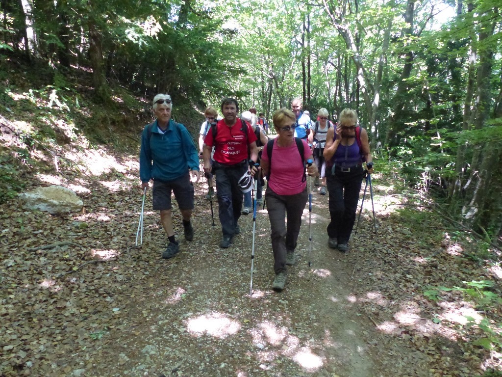 Ste Baume-Grotte aux Oeufs-Paradis-Glacières-Sentier Merveilleux-Jeudi 28 mai 2015 YizCqJ