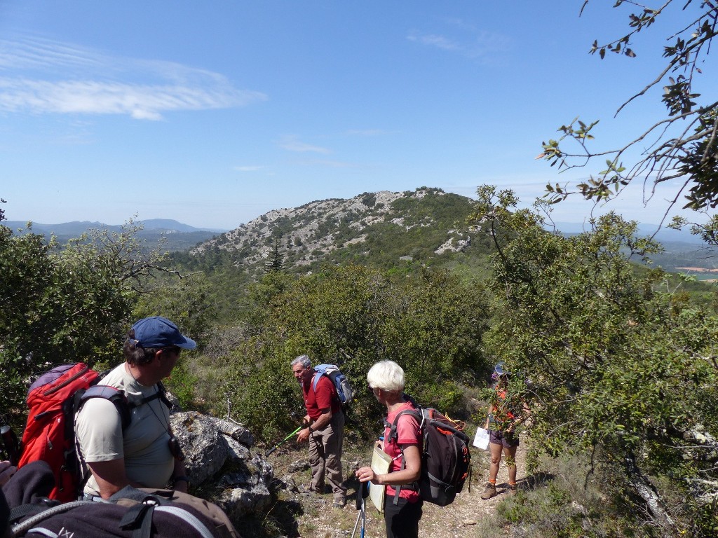 Rians-Montagne d'Artigues-Jeudi 23 avril 2015 58tk8I