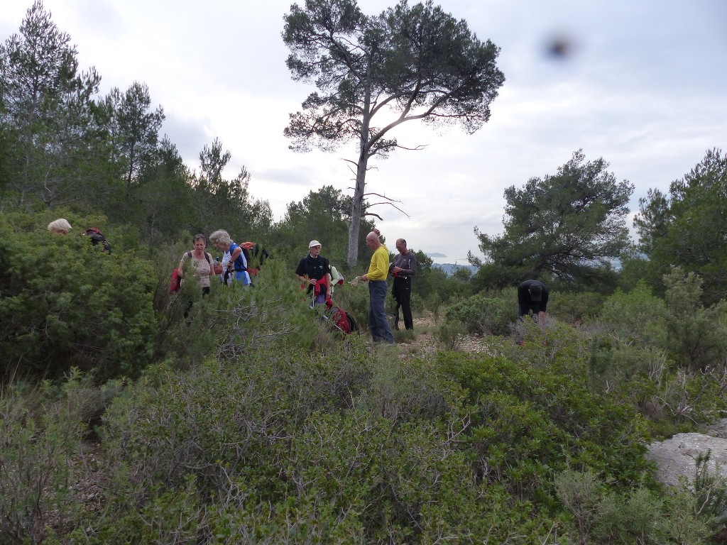 Ceyreste-Montounier-Jeudi 4 décembre 2014 Kt1db2