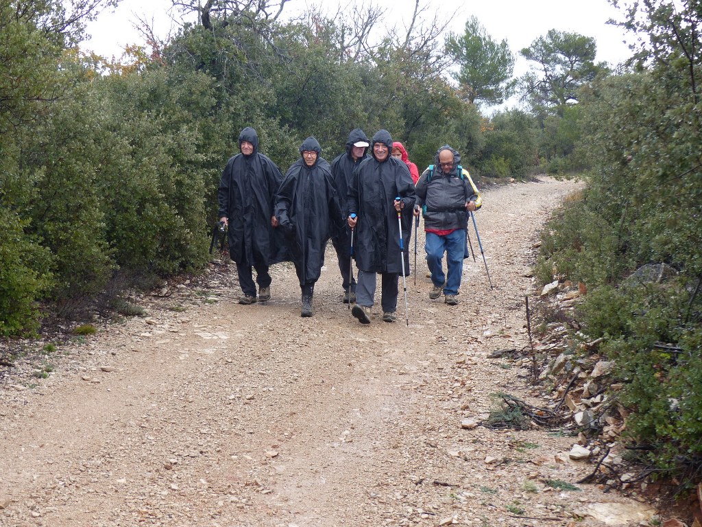 Meyrargues-Terme de Judas-Jeudi 27 novembre 2014 RDvA04