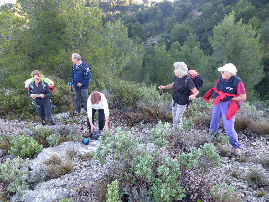 Meyrargues-Terme de Judas-Jeudi 27 novembre 2014 PaqHPf