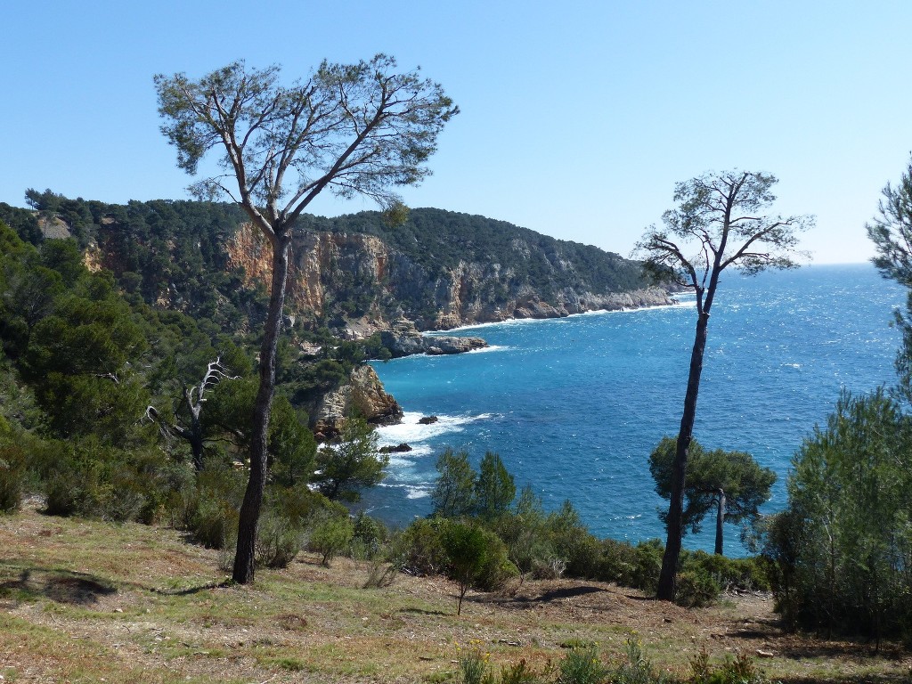 La Madrague des Lecques-Port d'Alon-Jeudi 26 mars 2015 E48Ht1