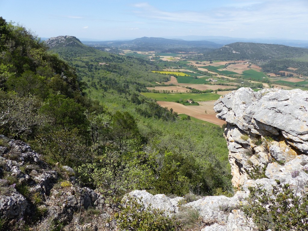 Rians-Montagne d'Artigues-Jeudi 23 avril 2015 EcBg7a