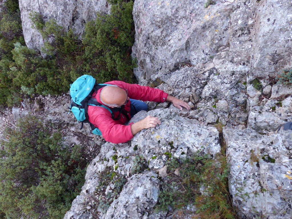 Meyrargues-Terme de Judas-Jeudi 27 novembre 2014 XYIjC3