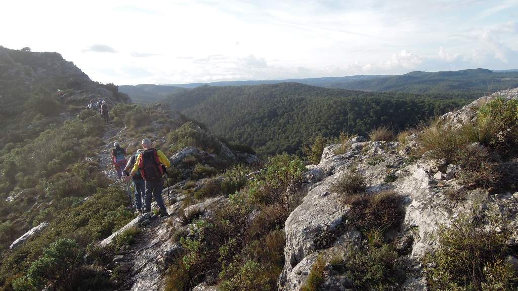 Meyrargues-Terme de Judas-Jeudi 27 novembre 2014 YY9I1i