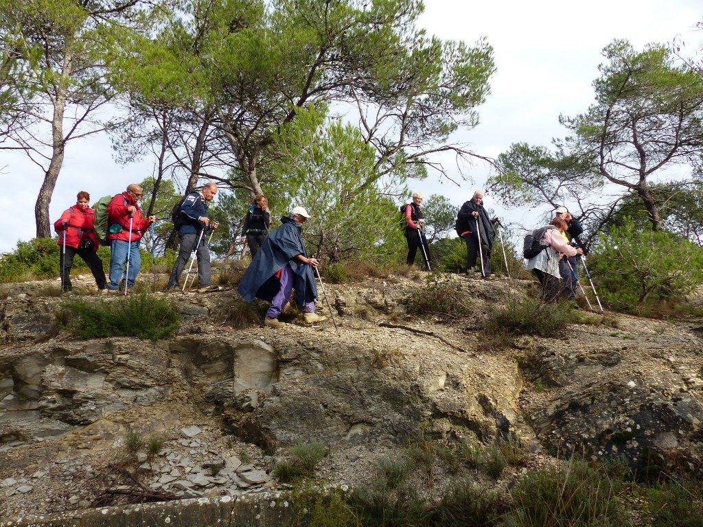 Meyrargues-Terme de Judas-Jeudi 27 novembre 2014 Ys4gQJ