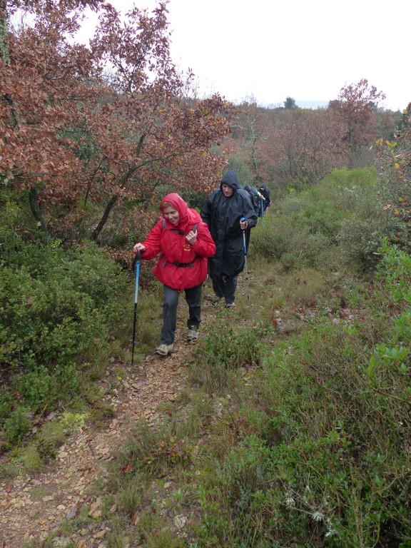 Meyrargues-Terme de Judas-Jeudi 27 novembre 2014 KMRuRY