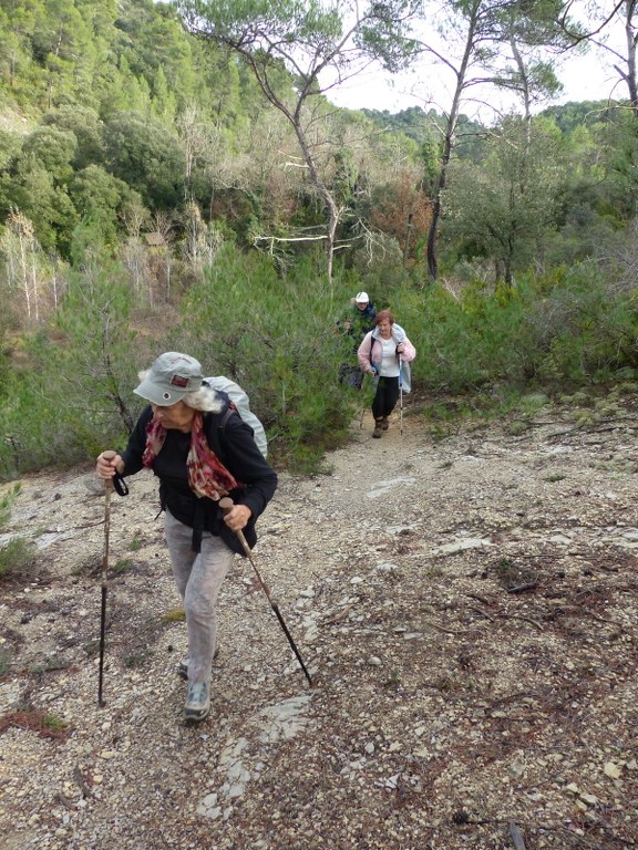 Meyrargues-Terme de Judas-Jeudi 27 novembre 2014 QyFq4Y