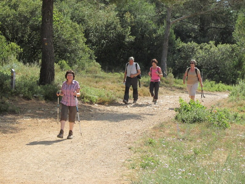 Le Tholonet-Barrage de Zola - jeudi 5 juin 2014 2ob3