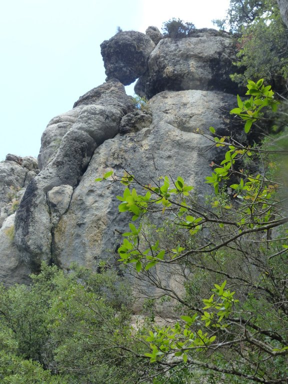 Tourves-Gorges du Caramy-Jeudi 19 juin Gpba