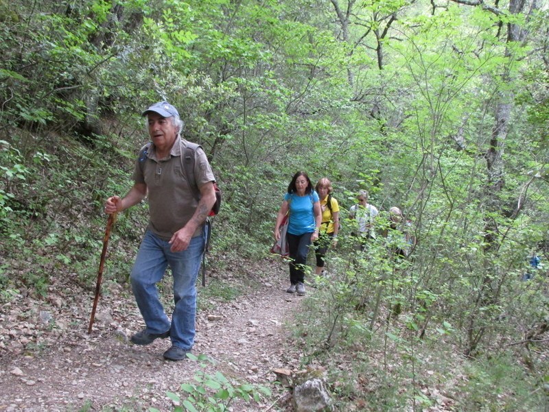 Vauvenargues - Jeudi 29 mai 2014 0pz7