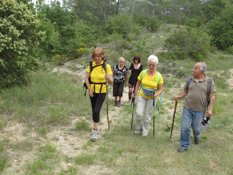 Vauvenargues - Jeudi 29 mai 2014 9z8bn