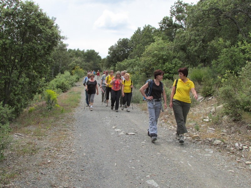 Vauvenargues - Jeudi 29 mai 2014 8n0nj