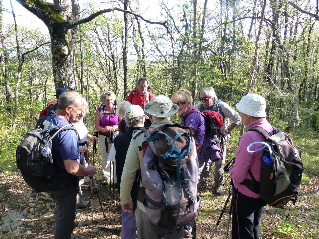 Ste Baume-Voie Gombault-Jeudi 24 avril 2014 Jp93