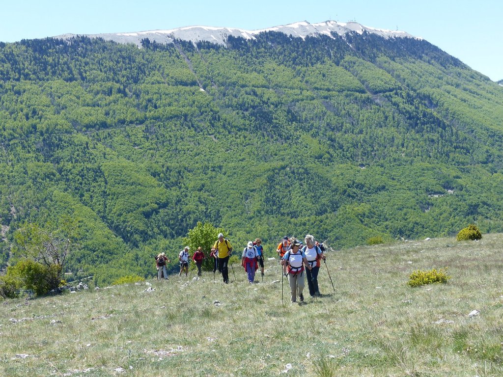 Valbelle-Montagne de Sumiou-Jeudi 15 mai 2014 Sn9j3