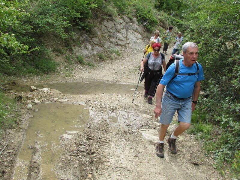 Vauvenargues - Jeudi 29 mai 2014 Hv48