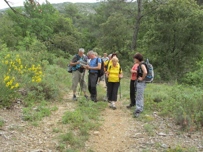 Vauvenargues - Jeudi 29 mai 2014 Mjlvk