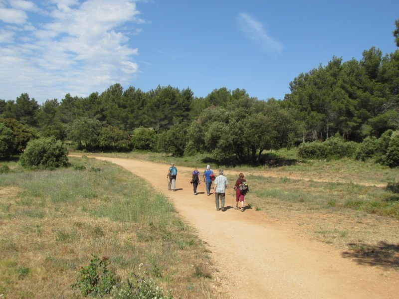 Le Tholonet-Barrage de Zola - jeudi 5 juin 2014 582q