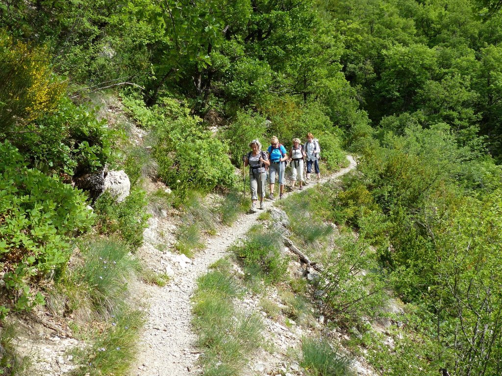 Antonaves-Pic St Cyr-Gorges de la Méouge-Jeudi 29 mai 2014 J5pl