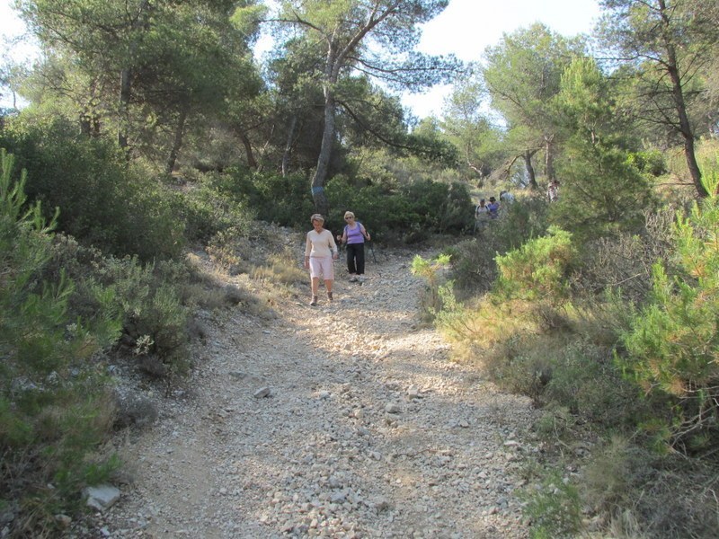 La Couronne - Col de la Gatasse - Jeudi 12 juin 2014 Lin5d