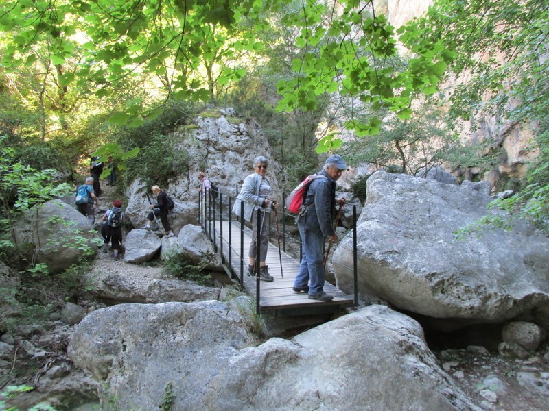 Alpes-de-Haute-Provence - Les Gorges de Trévans - Samedi 24 mai 2014  W9661