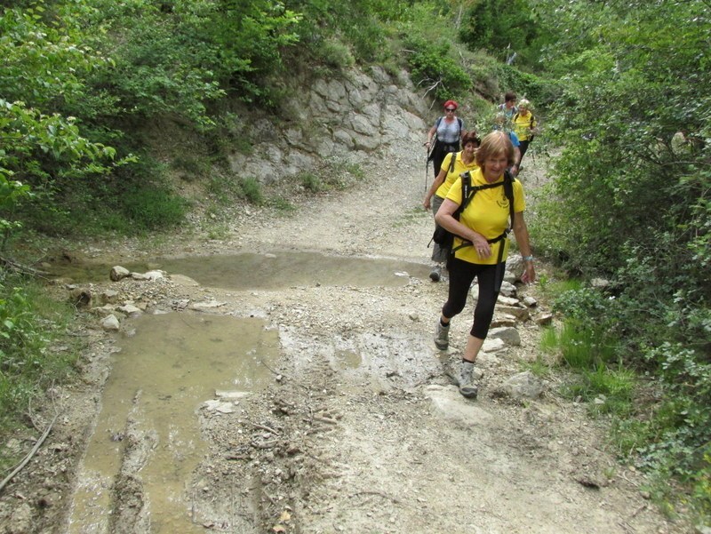 Vauvenargues - Jeudi 29 mai 2014 2uome